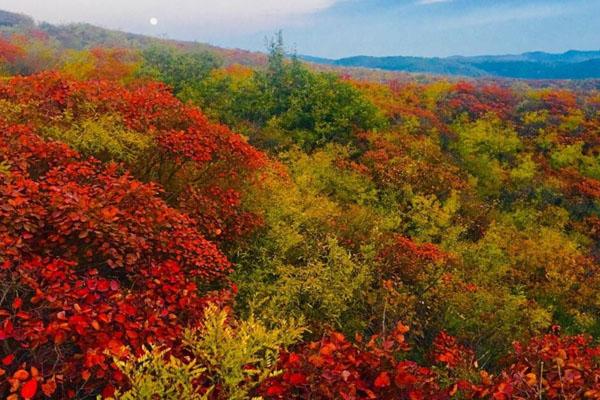 青天河风景区介绍 门票价格