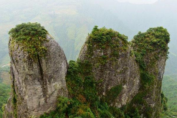 政和佛子山风景区门票 在哪里