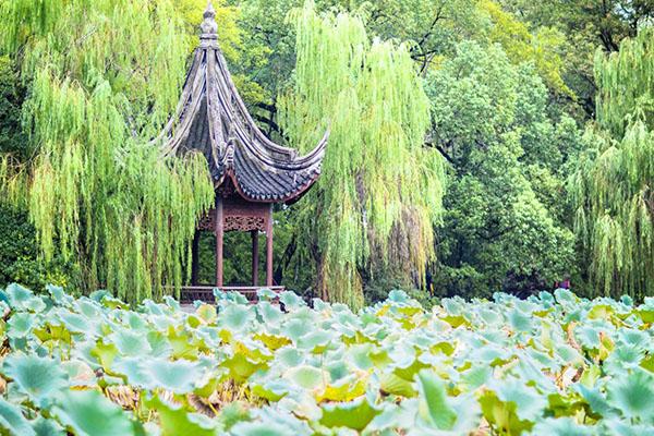 湖州小莲庄要门票吗 湖州小莲庄简介