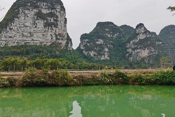 明仕田园风景区简介 明仕田园旅游攻略