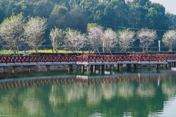 长沙桃花岭公园门票多少 桃花岭公园游玩攻略