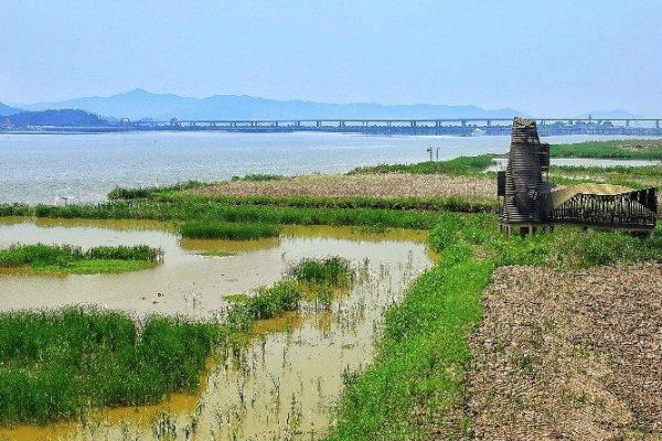 漩门湾国家湿地公园在哪里-门票多少钱