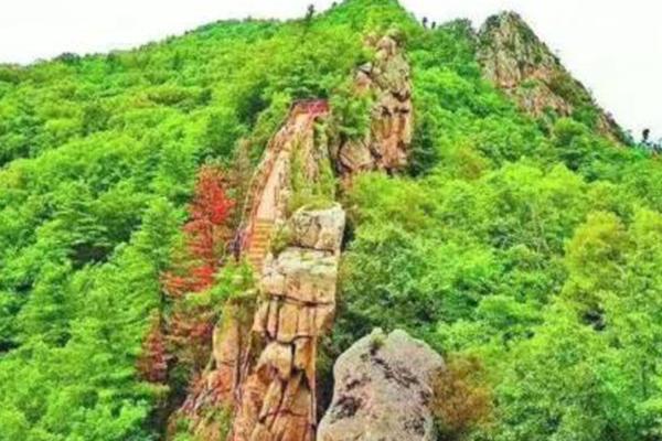 鸡冠山国家森林公园怎么样 门票多少钱