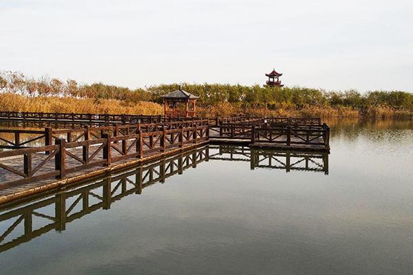 南大港湿地公园门票多少钱 什么时候去最好