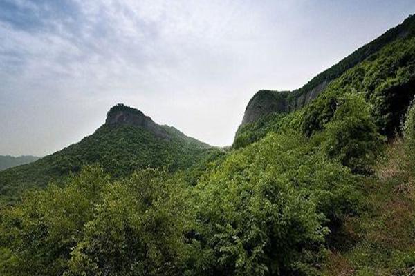 石门山森林公园门票多少钱-怎么去