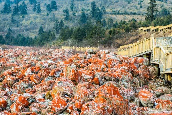 四川甘孜海螺沟国家森林公园旅游攻略