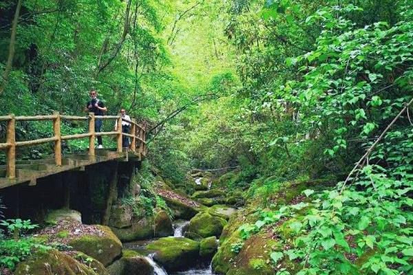 襄阳五道峡景区地址门票及游玩攻略