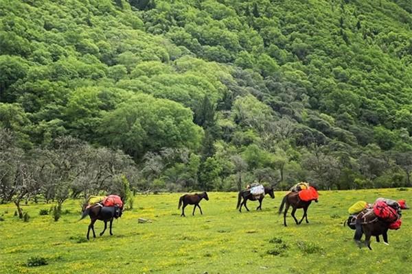 木尔寨沟门票地址交通-旅游攻略