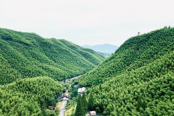 湖州中国大竹海地址及旅游攻略