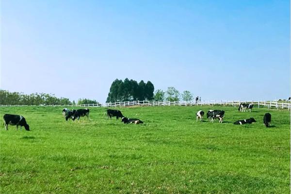 德阳原野有机牧场门票地址及景区介绍