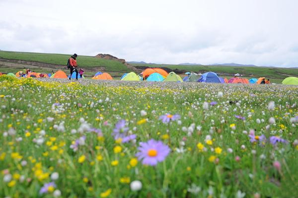 俄么塘花海景区在哪里-景区介绍