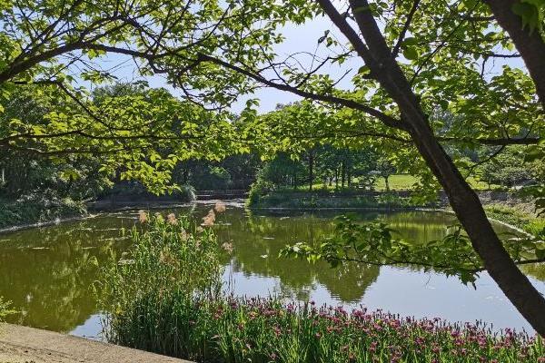 南京中山植物园门票多少钱 中山植物园开放时间