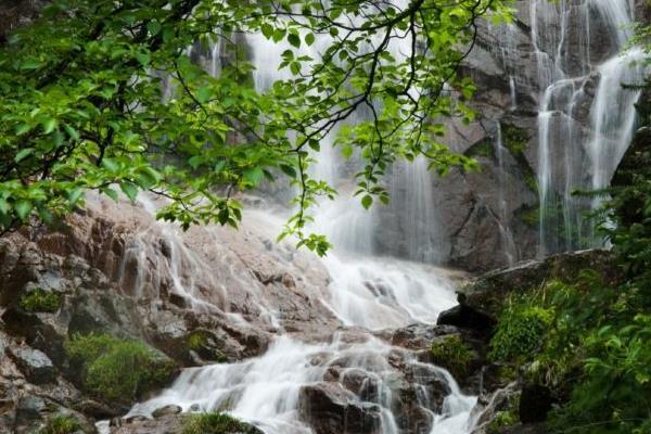 湖南大围山国家森林公园门票在哪里及游玩攻略