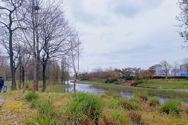 世博后滩湿地公园门票价格及游玩攻略