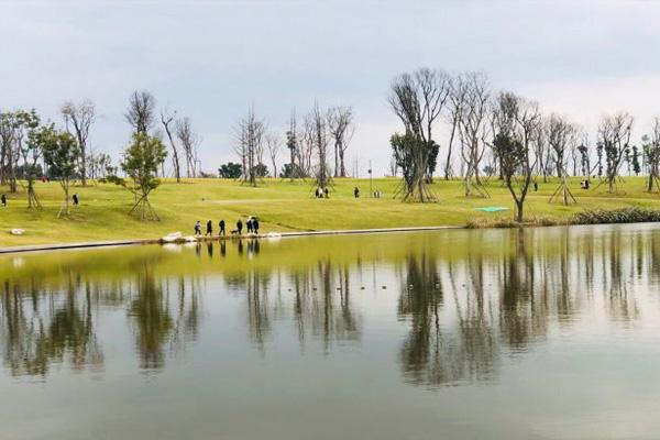 兴隆湖湿地公园在哪里门票交通及游玩攻略