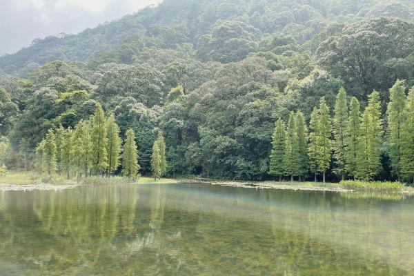 广东石门国家森林公园门票多少钱开放时间及地址