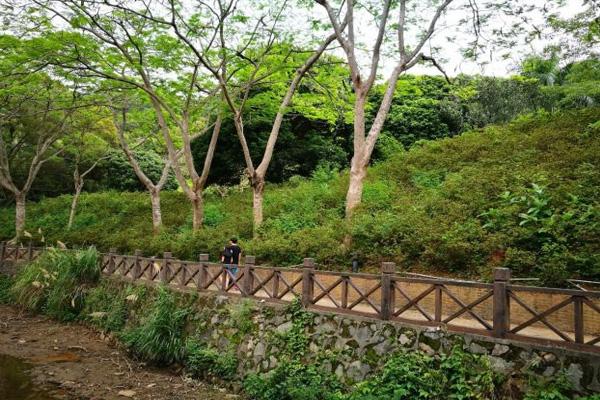 园山风景区门票多少钱及游玩攻略