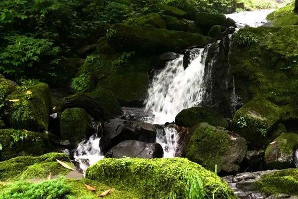 眉山瓦屋山风景区门票价格及游玩攻略