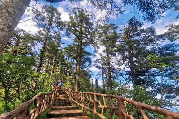 眉山瓦屋山风景区门票价格及游玩攻略