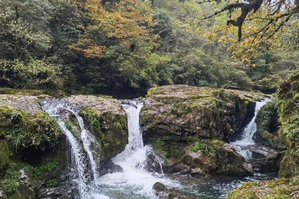 雅安龙苍沟国家级森林公园门票地址及游玩攻略