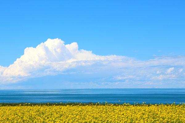 青海湖风景区门票价格及游玩攻略