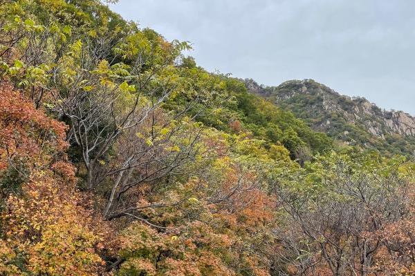 北京喇叭沟原始森林公园在哪里门票及攻略