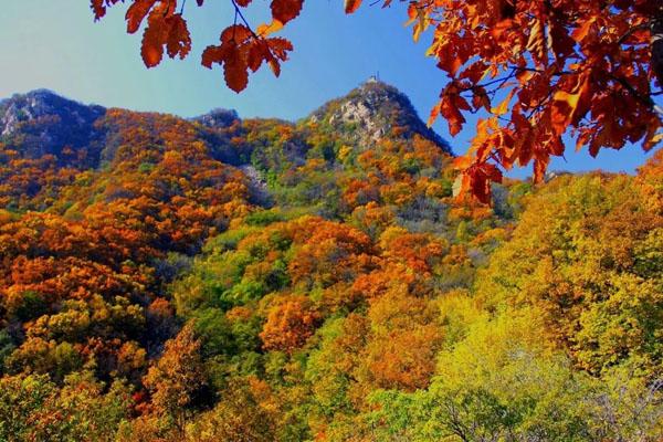 八仙山风景区门票价格及游玩攻略