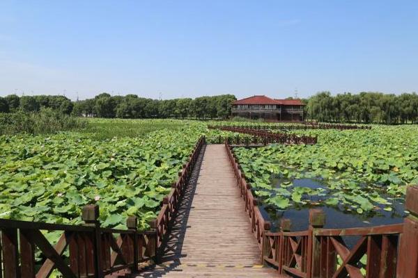 荷塘月色湿地公园什么时候去最好及游玩攻略