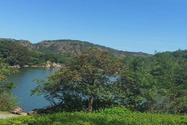 苏州白马涧龙池风景区门票多少钱及游玩攻略