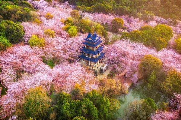 太湖鼋头渚风景区门票多少钱及游玩攻略