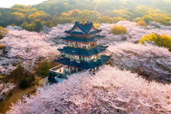 太湖鼋头渚风景区门票多少钱及游玩攻略