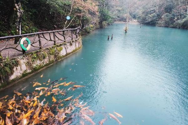 丽水千佛山风景区门票价格及游玩攻略