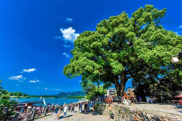 丽水龙泉山风景区门票及攻略