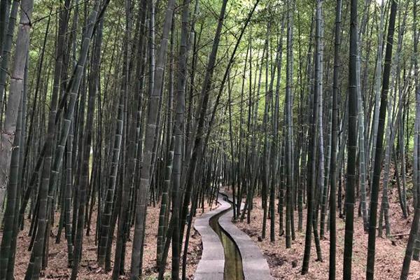 日照竹洞天风景区门票价格及游玩攻略