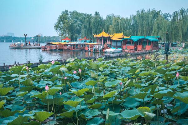 济南大明湖风景区门票价格及游玩攻略