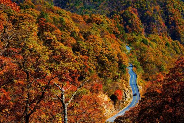 安徽秋天红叶最美的地方